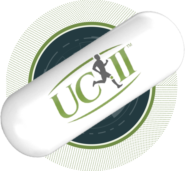 GAL UC-II Porc-komplex - Vitamin Világ